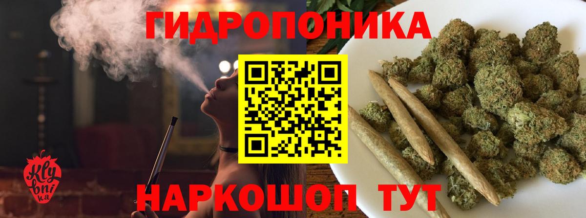 Конопля OG Kush Дзержинский